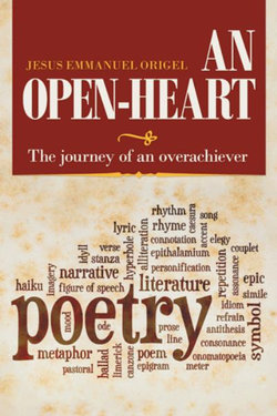 An Open-Heart An Open-Heart