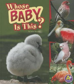 Whose Baby Is This? Whose Baby Is This?