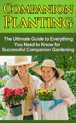Companion Planting Companion Planting