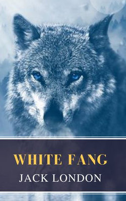 White Fang White Fang