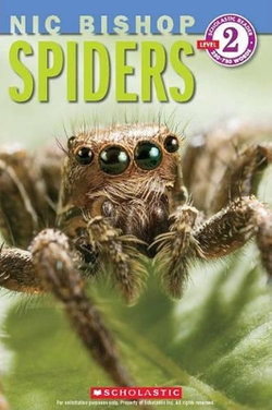 NIC Bishop - Spiders NIC Bishop - Spiders