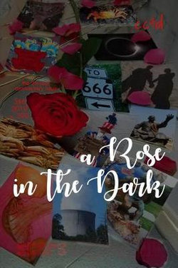 A Rose in the Dark A Rose in the Dark
