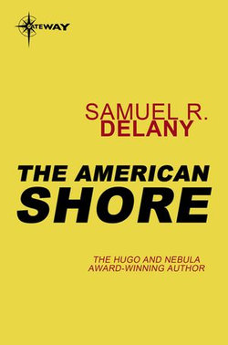 The American Shore The American Shore