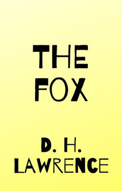 The Fox The Fox