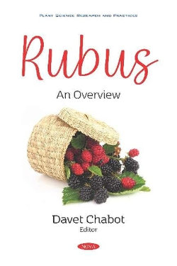 Rubus: an Overview Rubus: an Overview