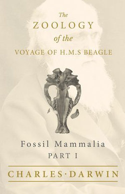 Fossil Mammalia - Part I - The Zoology of the Voyage of H.M.S Beagle Fossil Mammalia - Part I - The Zoology of the Voyage of H.M.S Beagle