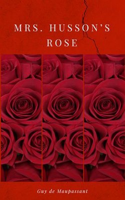 Mrs. Husson’s Rose Mrs. Husson’s Rose