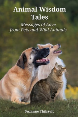 Animal Wisdom Tales Animal Wisdom Tales
