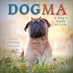 2021 Dogma 2021 Dogma
