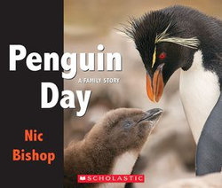 Penguin Day Penguin Day