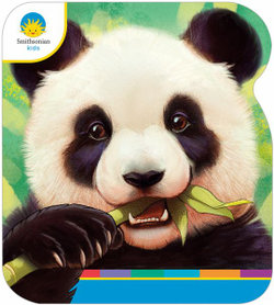 Panda Panda