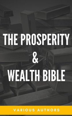 The Prosperity & Wealth Bible The Prosperity & Wealth Bible