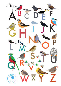 I Like Birds: An Alphabet of Birds Address Book I Like Birds: An Alphabet of Birds Address Book