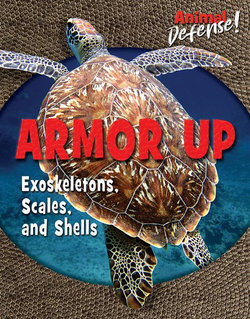 Armor Up Armor Up