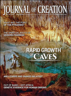 Journal Of Creation - 12 Month Subscription Journal Of Creation - 12 Month Subscription