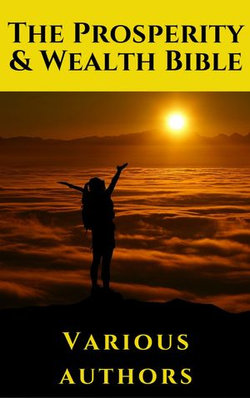 The Prosperity & Wealth Bible The Prosperity & Wealth Bible