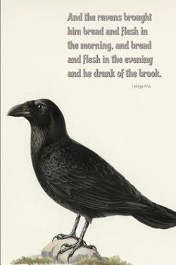 And the Ravens Brought Him Bread and Flesh in the Morning, and Bread and Flesh in the Evening and He Drank of the Brook And the Ravens Brought Him Bread and Flesh in the Morning, and Bread and Flesh in the Evening and He Drank of the Brook
