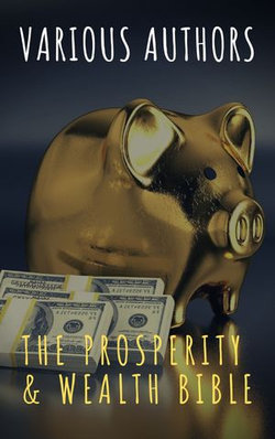 The Prosperity & Wealth Bible The Prosperity & Wealth Bible