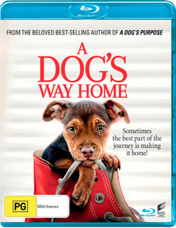 A Dog's Way Home A Dog's Way Home