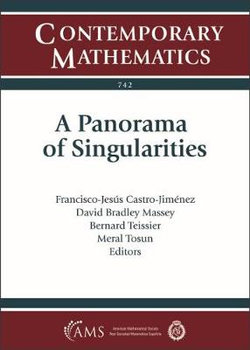 A Panorama of Singularities A Panorama of Singularities