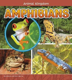 Amphibians Amphibians