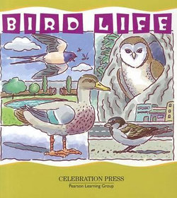 Bird Life Bird Life
