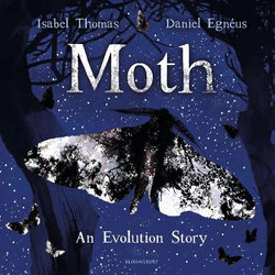 Moth Moth