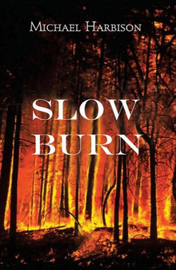 Slow Burn Slow Burn