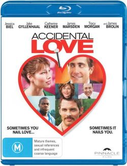 Accidental Love Accidental Love