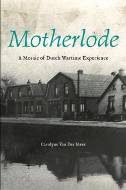 Motherlode Motherlode