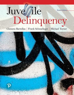 Juvenile Delinquency Juvenile Delinquency