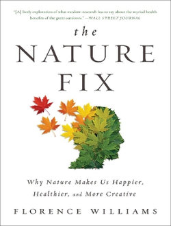 The Nature Fix The Nature Fix
