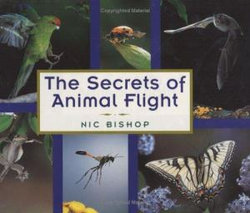 The Secrets of Animal Flight The Secrets of Animal Flight