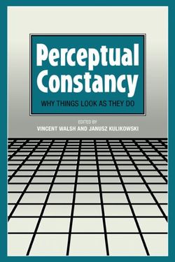 Perceptual Constancy Perceptual Constancy
