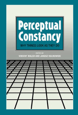 Perceptual Constancy Perceptual Constancy