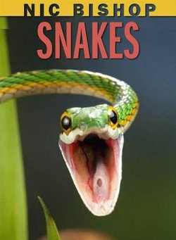 Snakes Snakes