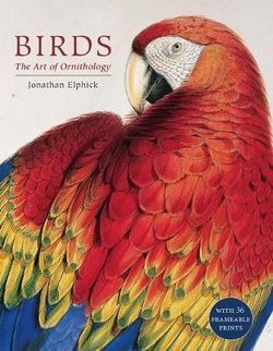 Birds Birds