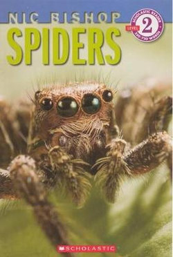 Spiders Spiders
