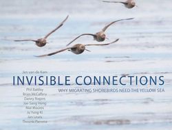Invisible Connections Invisible Connections