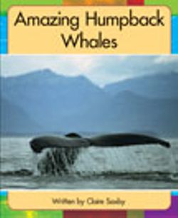 Lvl 19h: Amazing Humpback Whales Lvl 19h: Amazing Humpback Whales