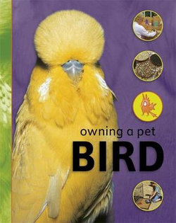 Bird Bird