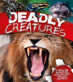 Deadly Creatures Deadly Creatures