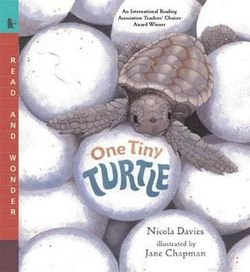 One Tiny Turtle One Tiny Turtle