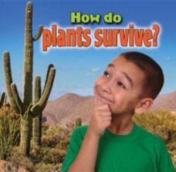 How do plants survive? How do plants survive?