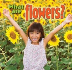 What are Flowers What are Flowers