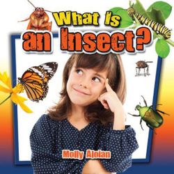 What is an insect? What is an insect?