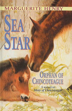 Sea Star Sea Star