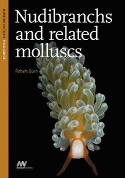 Nudibranchs and Related Molluscs Nudibranchs and Related Molluscs