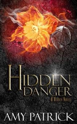 Hidden Danger Hidden Danger