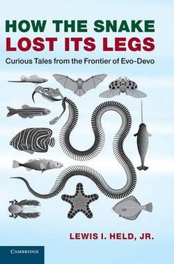 How the Snake Lost its Legs How the Snake Lost its Legs